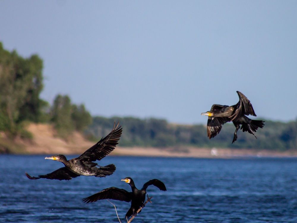 Photograph by Алина Орлова