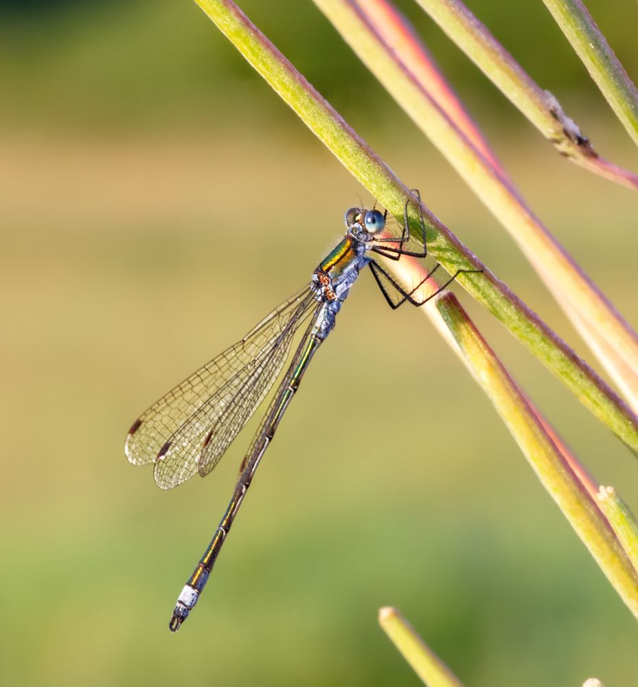 Photograph by Олег Чернышев