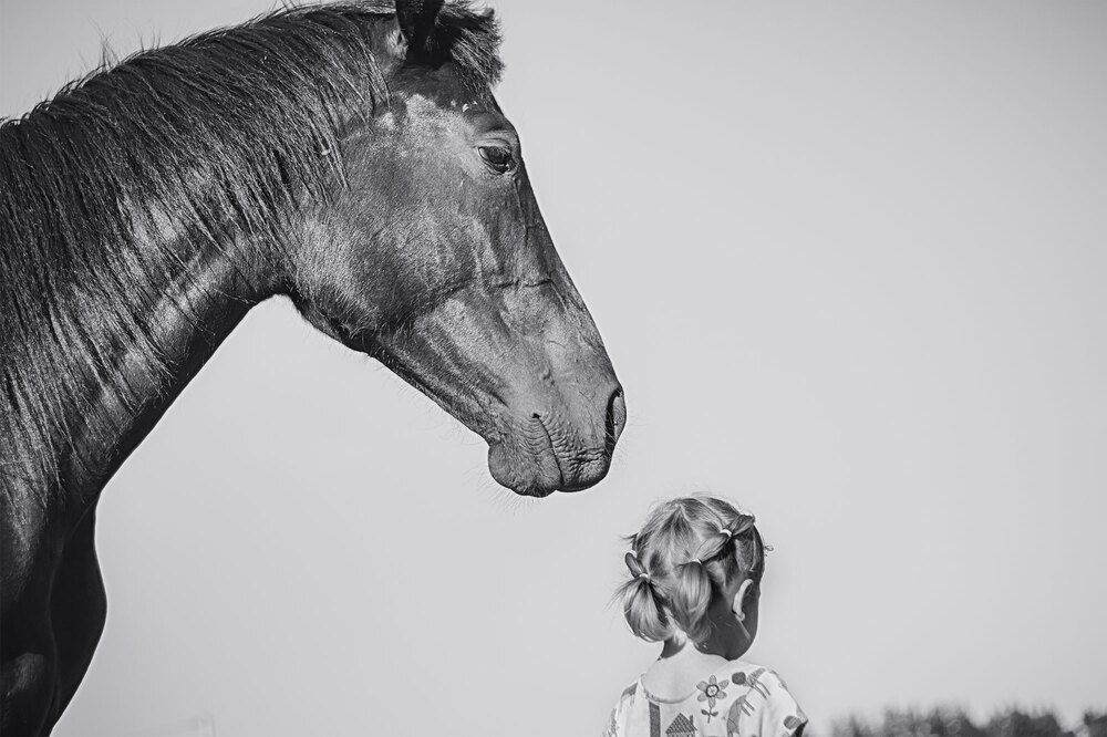 Photograph by Nata-Tigra Kalashnikova