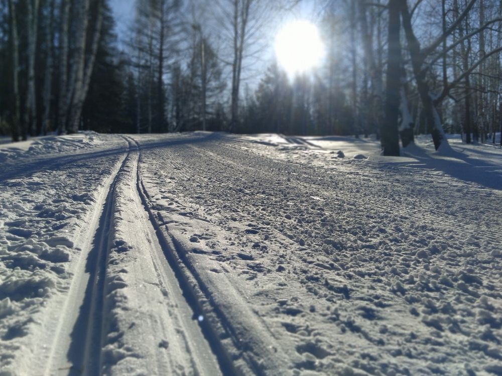 Photograph by Анастасия Мантурова