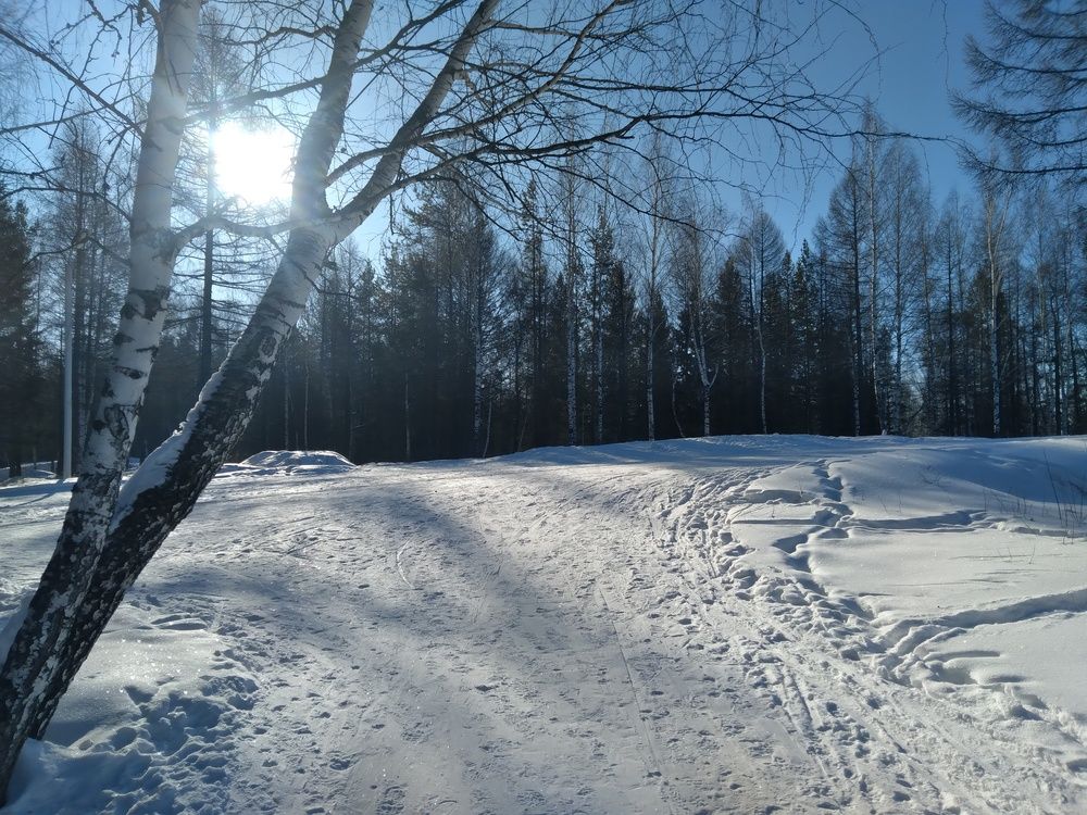 Photograph by Анастасия Мантурова