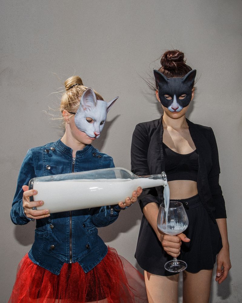 Кошки не похожи на людей