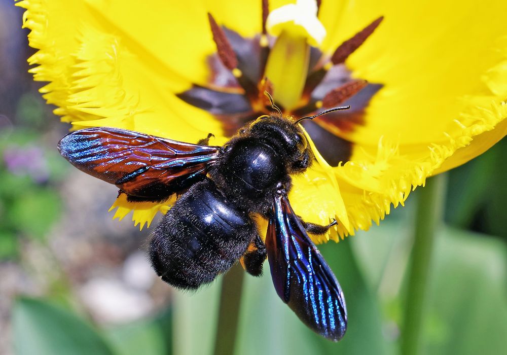 Фотография автора Сергей Гречихин