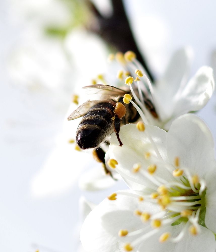 Фотография автора Сергей Гречихин