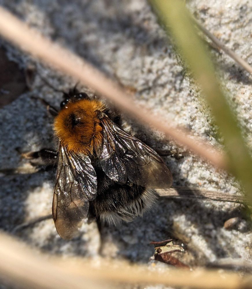 Фотография автора Ксения Шляйхер