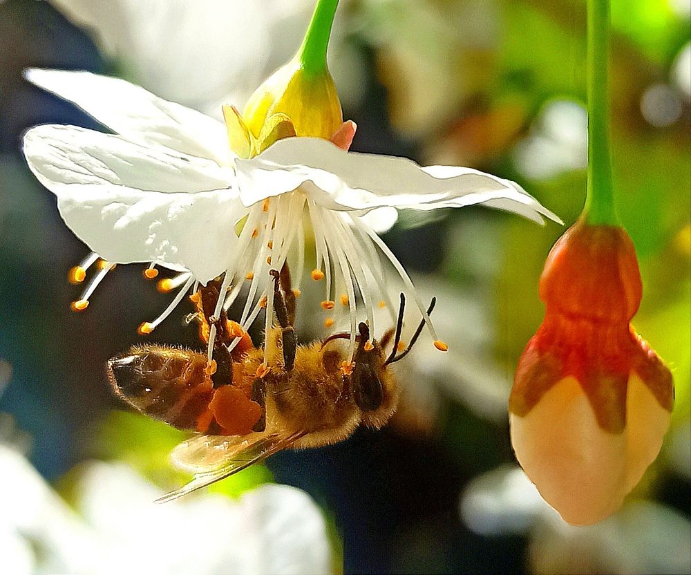 Photograph by Ольга Тихонова