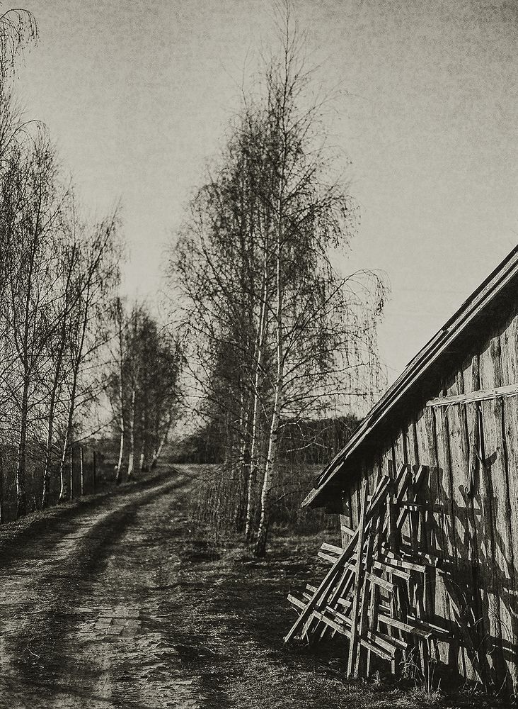 Фотография автора Сергей Скопинцев