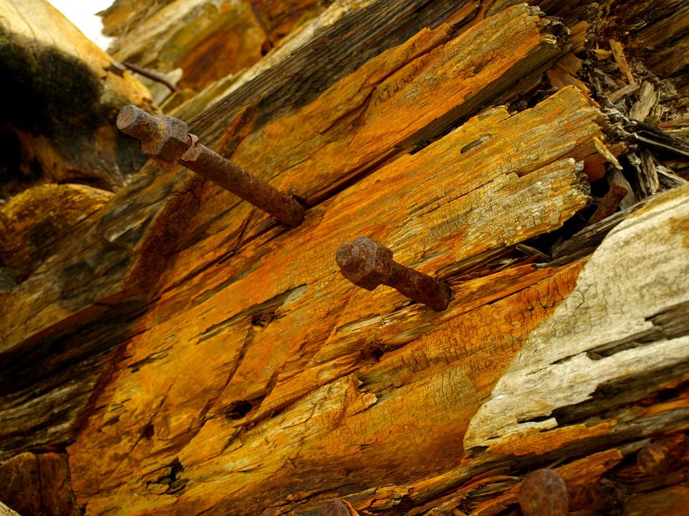 Фотография автора Jevgeni Filimonov