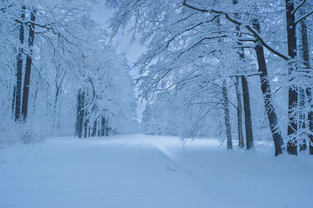 Photograph by Светлана Муравьева