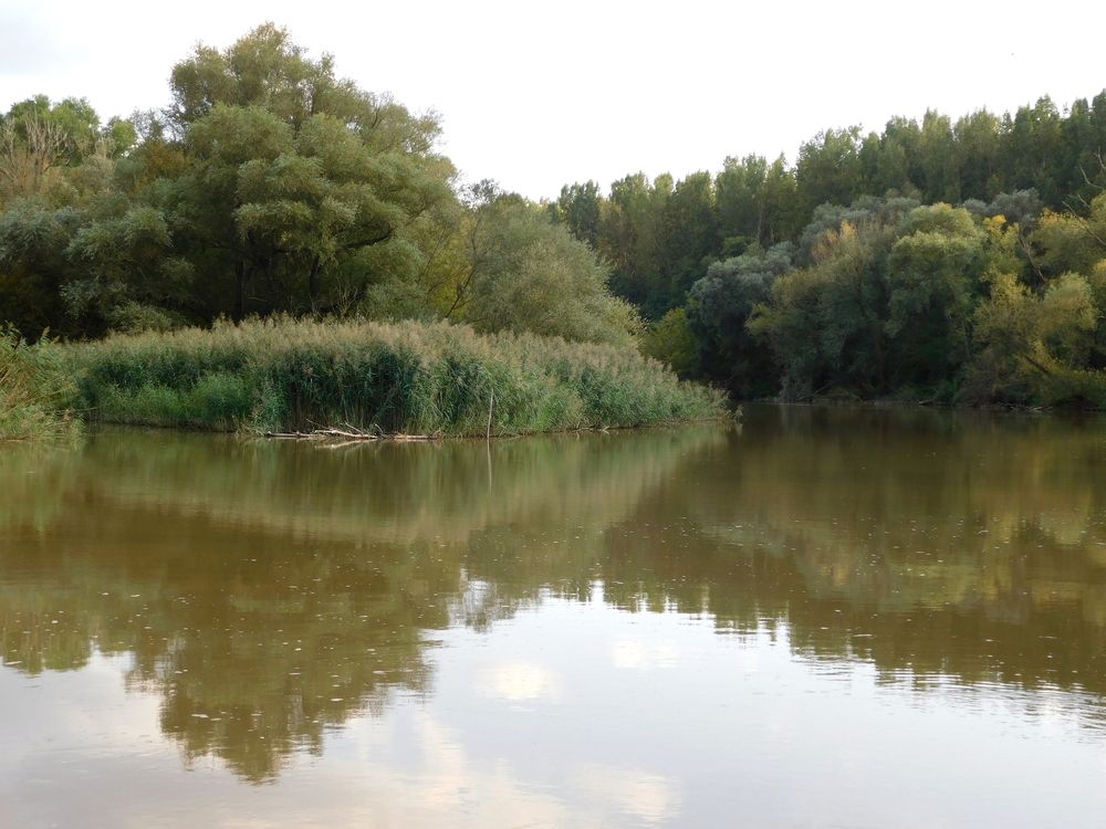 Rába River