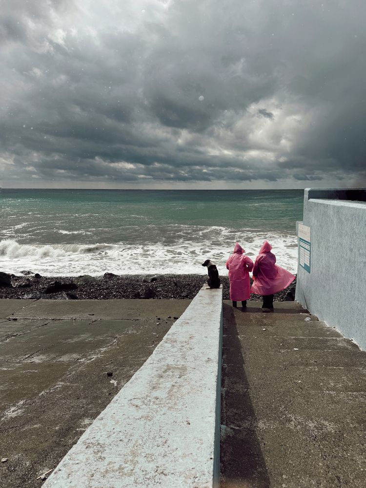 Photograph by Наталья Домненко