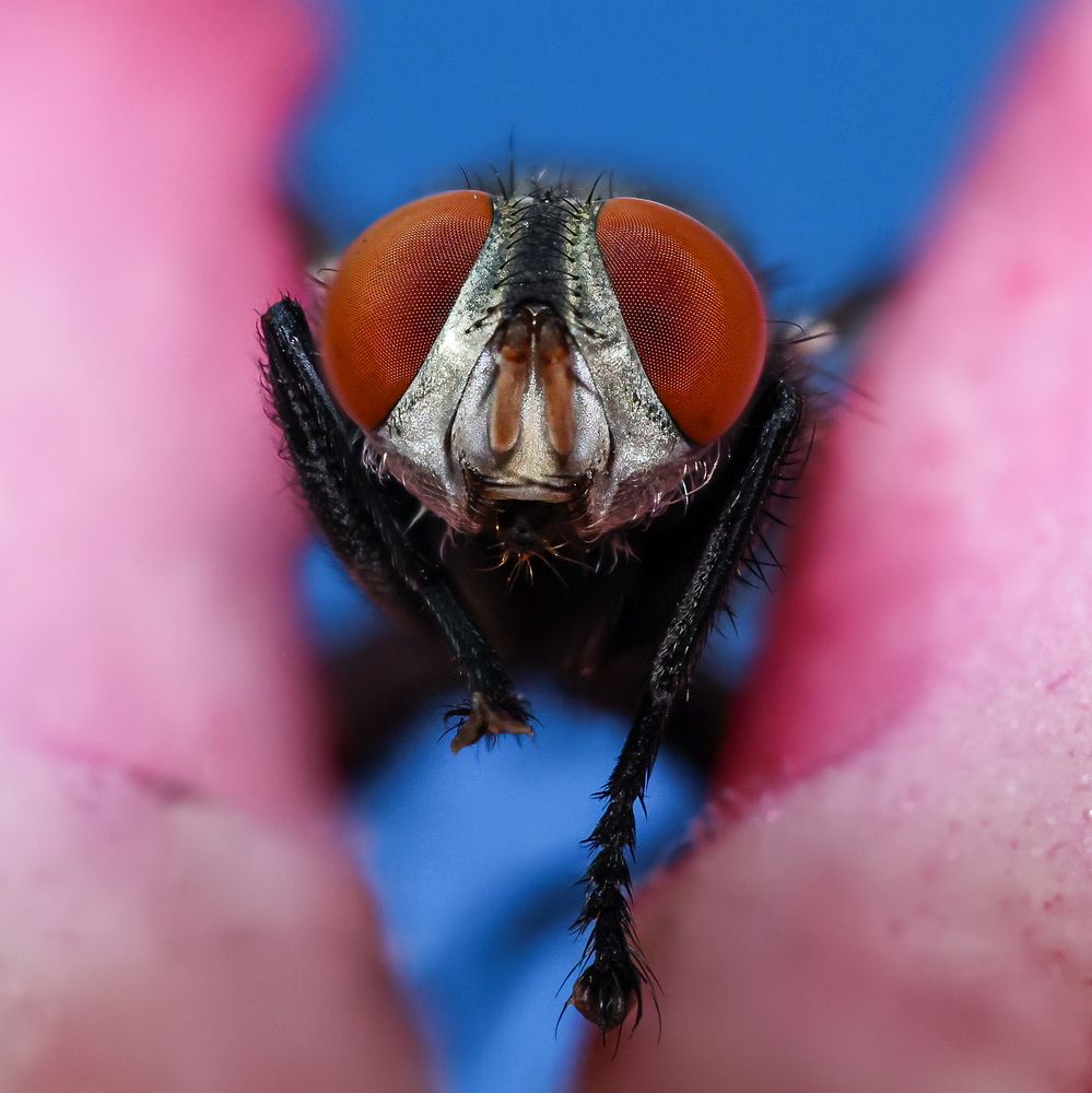 Photograph by Trần Thành Nam