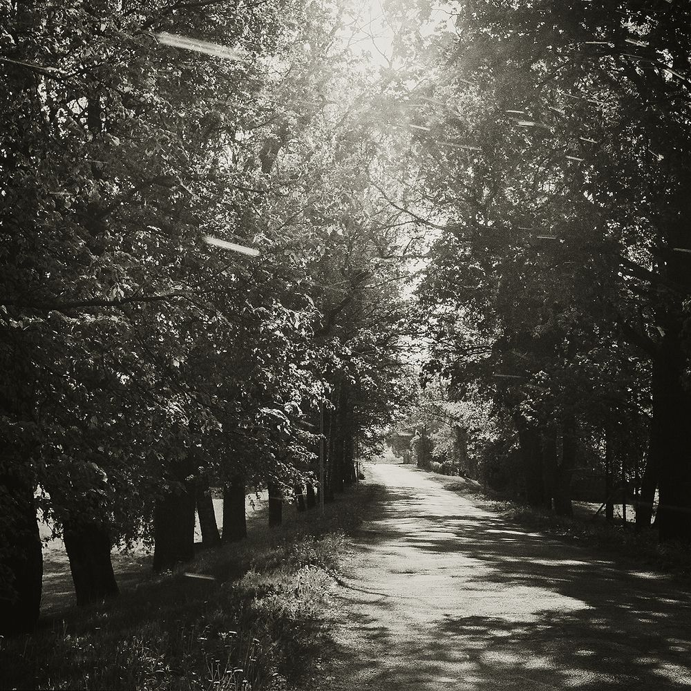 Фотография автора Сергей Скопинцев
