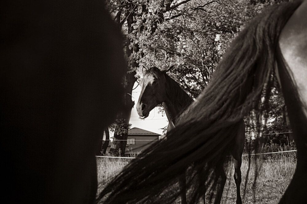 Photograph by Nata-Tigra Kalashnikova