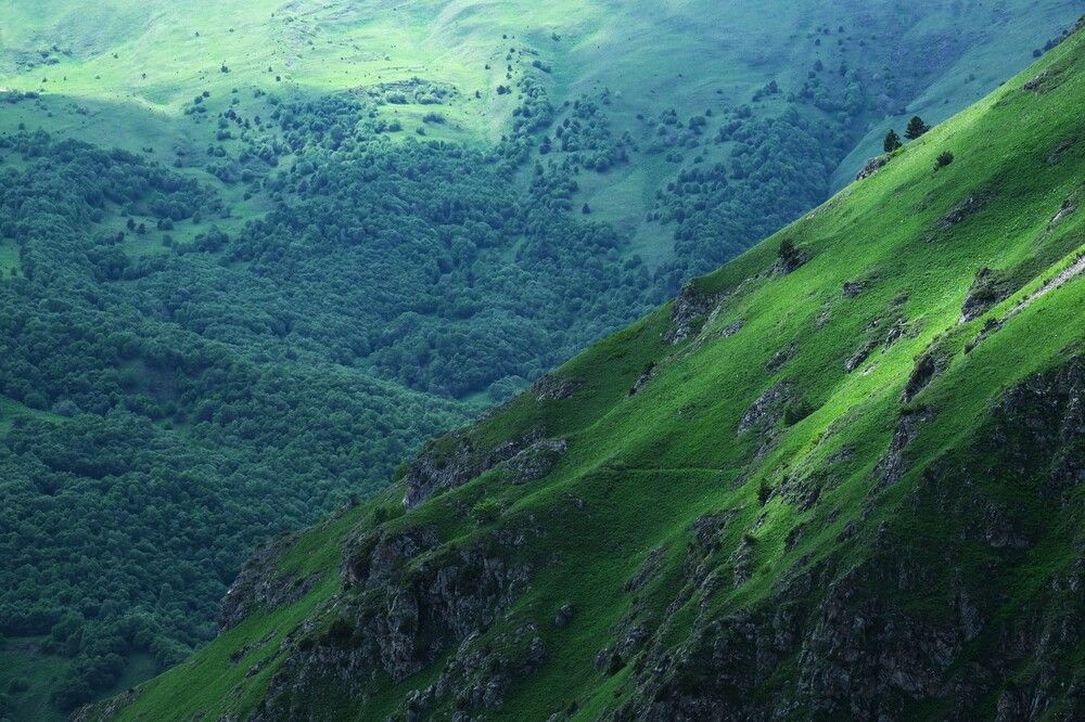 Photograph by Светлана Полякова