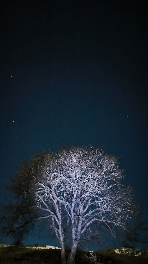 Photograph by ANDREY PERESHEIN