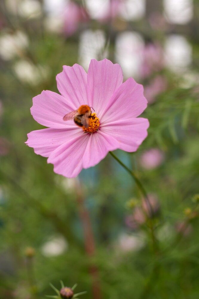 Photograph by Ирина Зиннурова