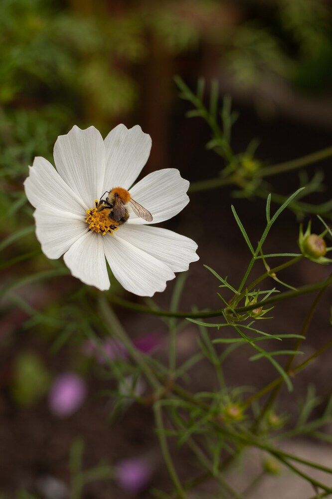 Photograph by Ирина Зиннурова