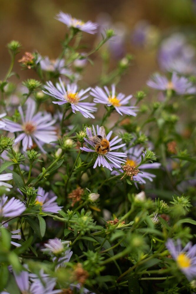 Photograph by Ирина Зиннурова