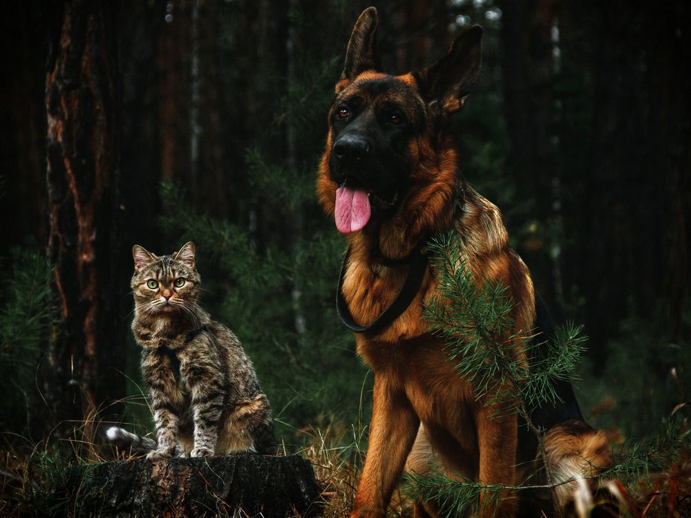 Photograph by Андрей Летов