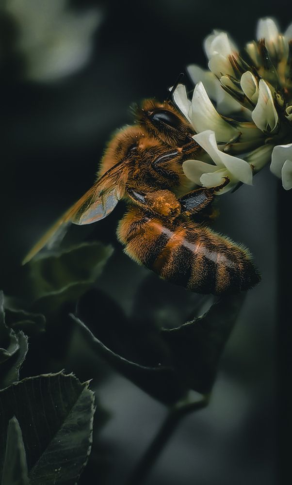 Photograph by Sergey