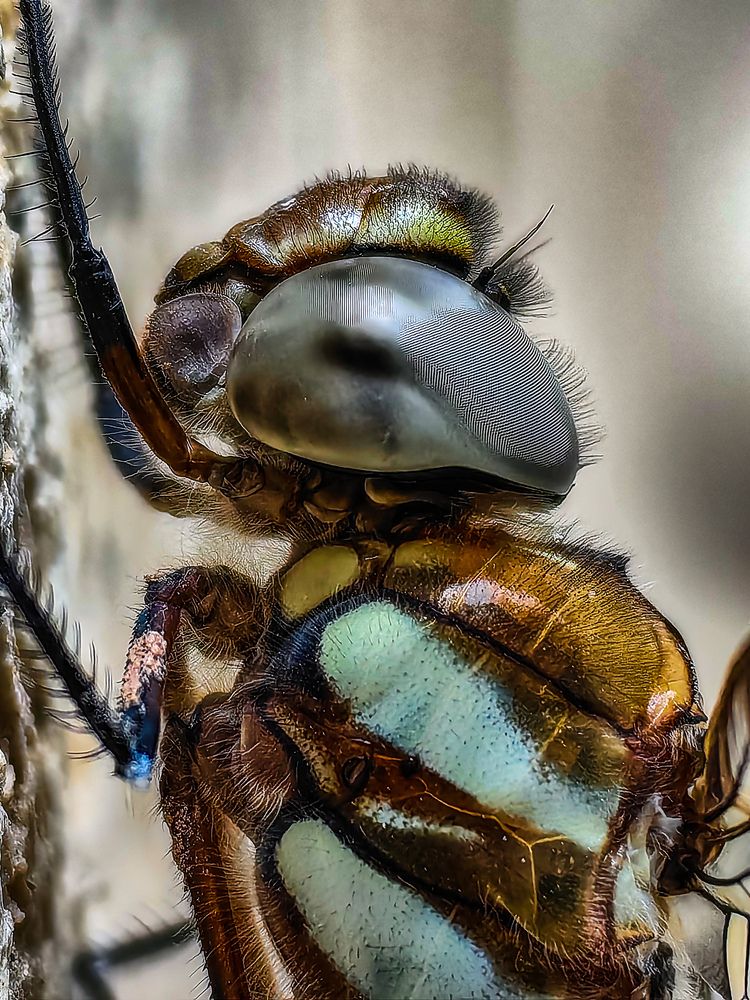 Photograph by Sergey