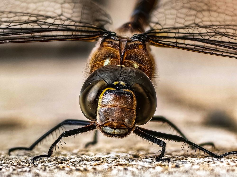 Photograph by Sergey