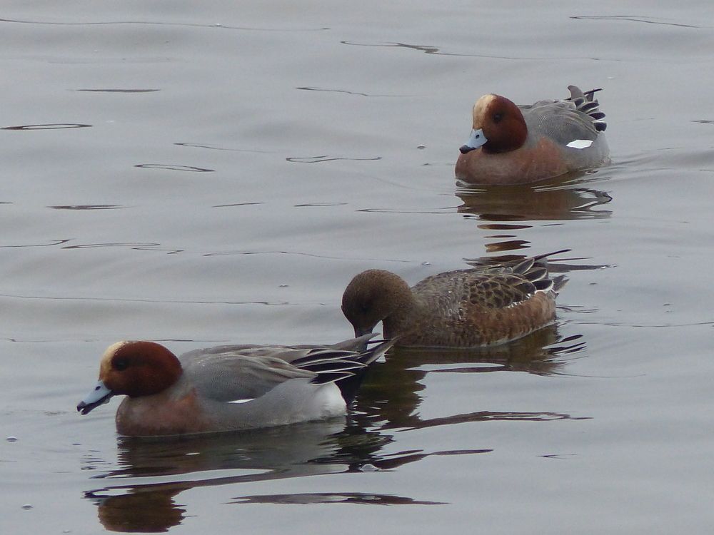 Photograph by Isabella Northrop