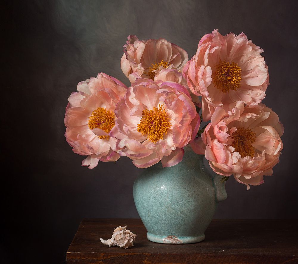 Фотография автора Алина Ланкина