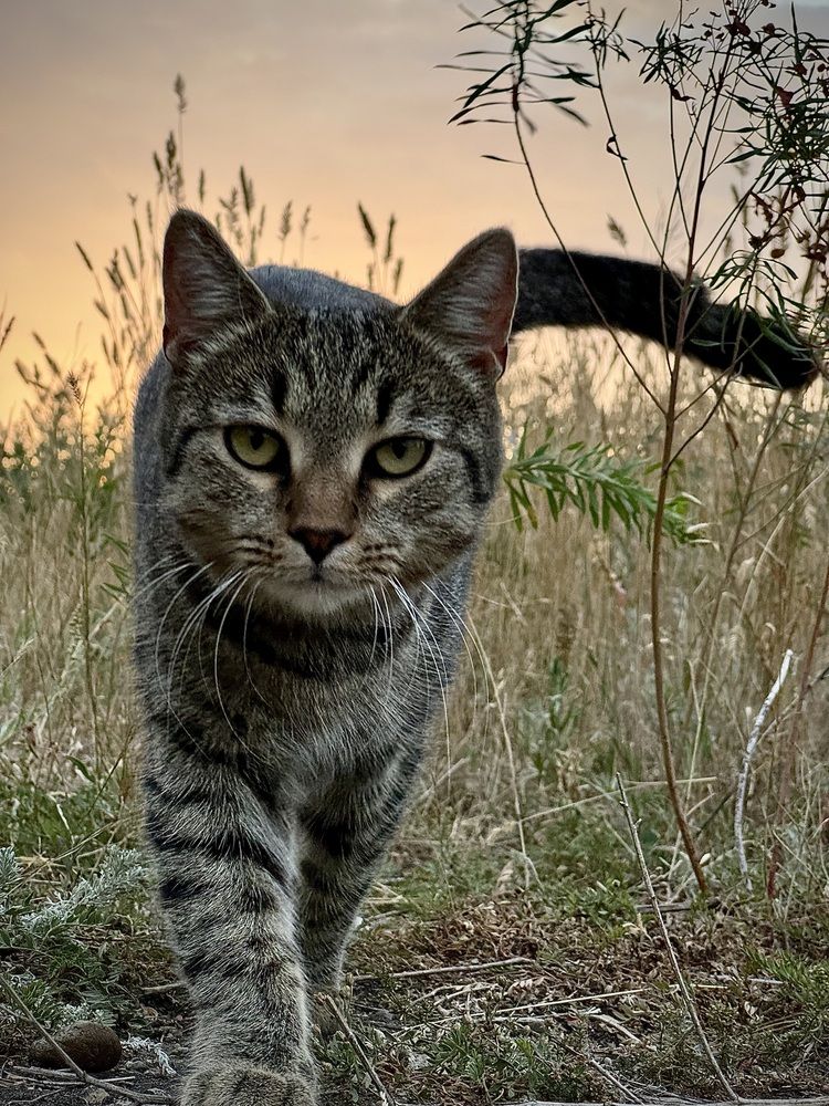 Photograph by Арина Бурда