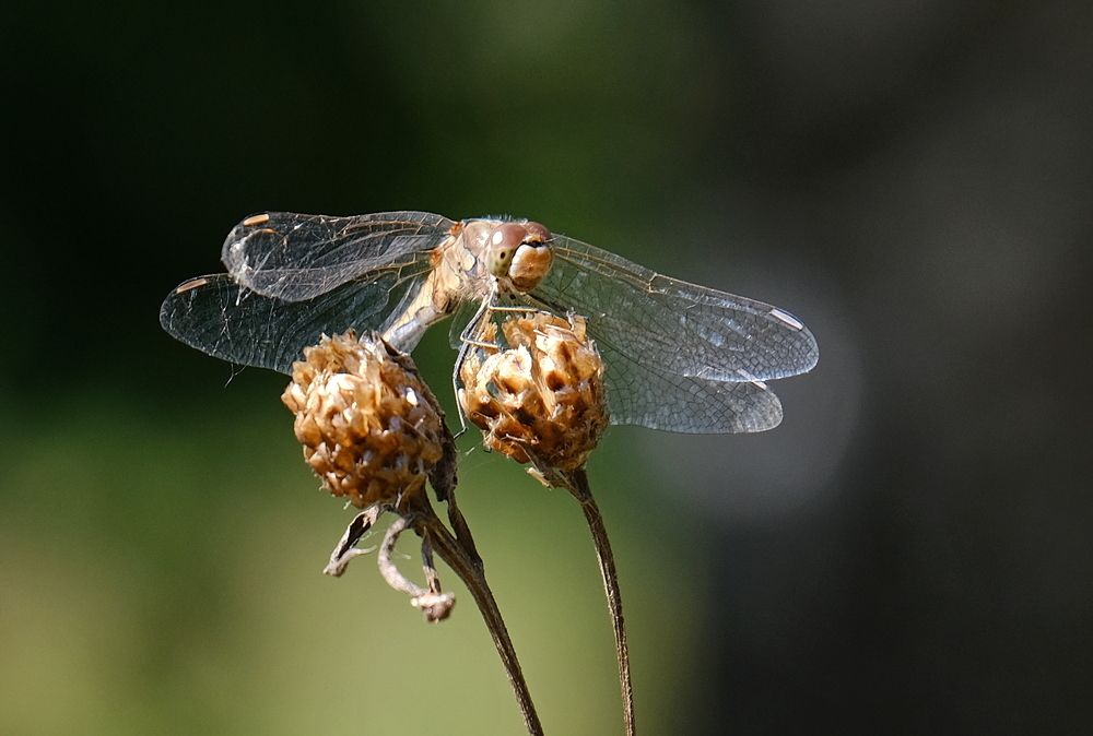 Photograph by Андрей Зайцев