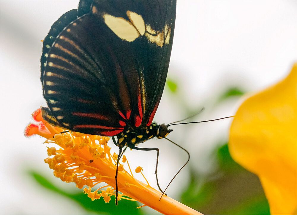 Photograph by Анатолий