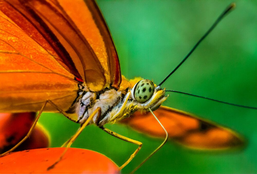 Photograph by Анатолий