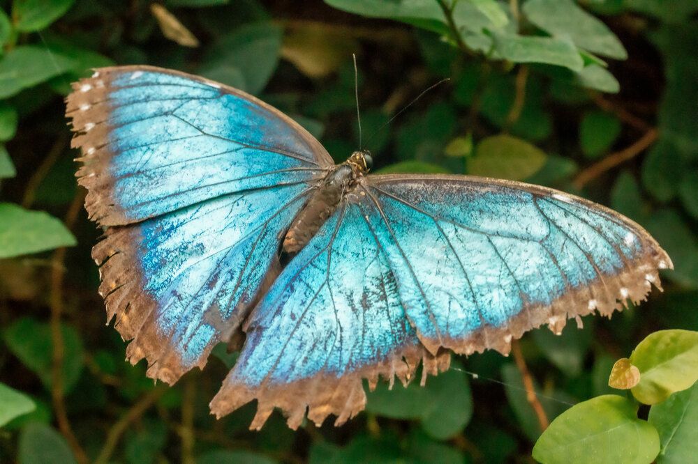 Photograph by Анатолий