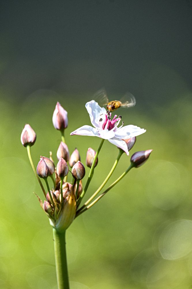 Photograph by Анна Морозова