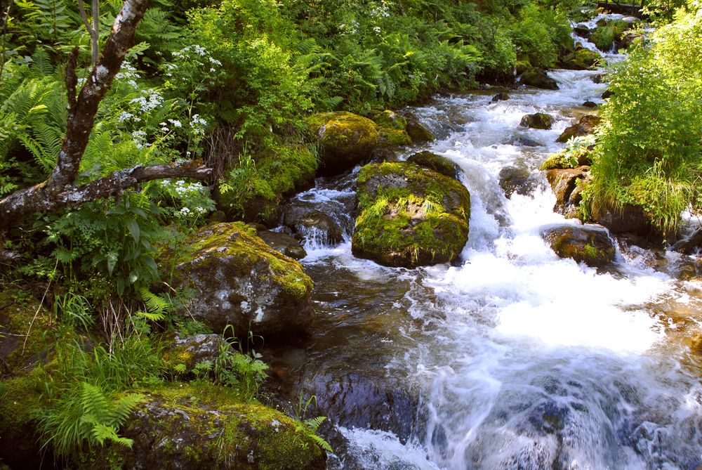 Photograph by Полевщиков Юрий