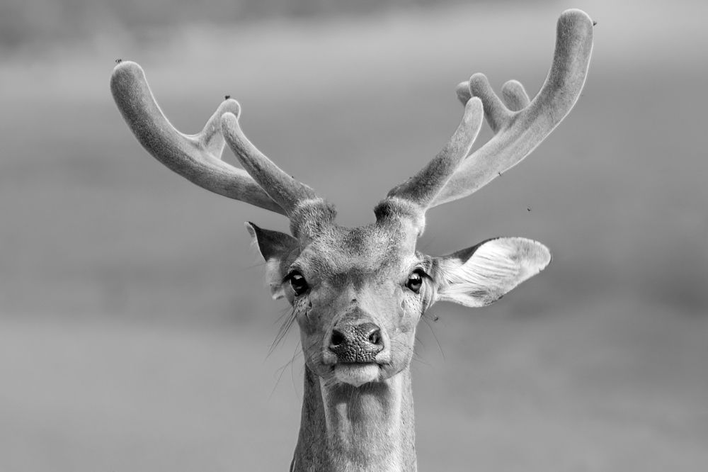 Photograph by Валерия Трейтяк