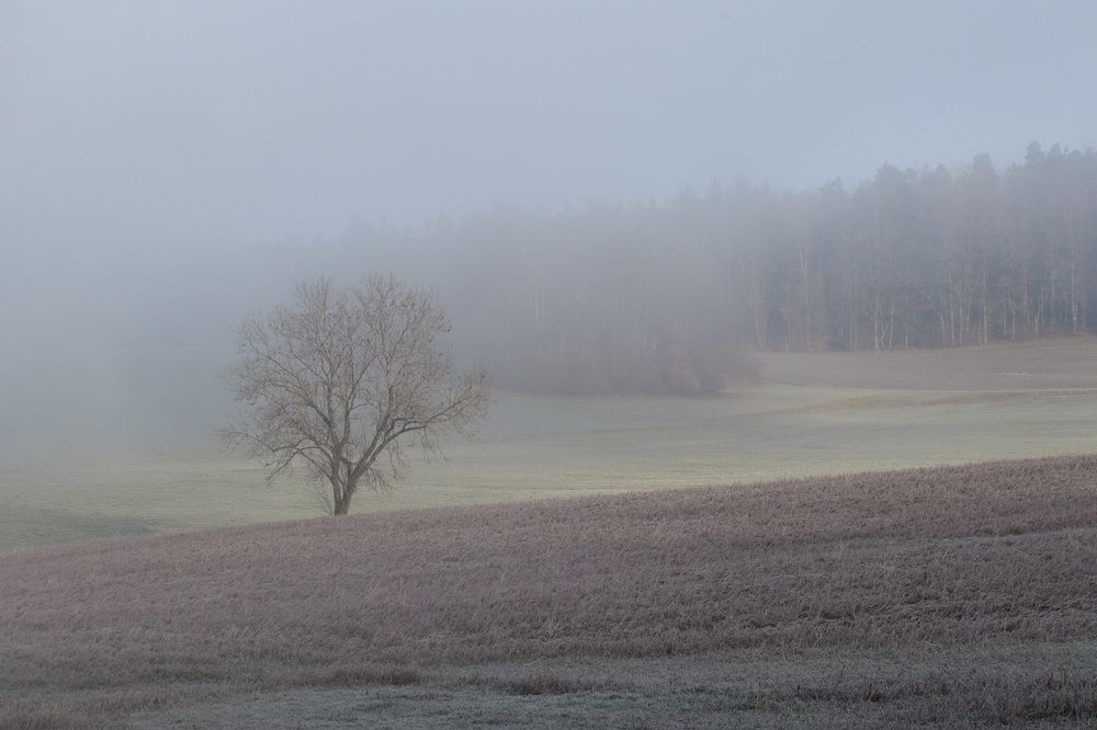 Photograph by Lyudmila Klimanova