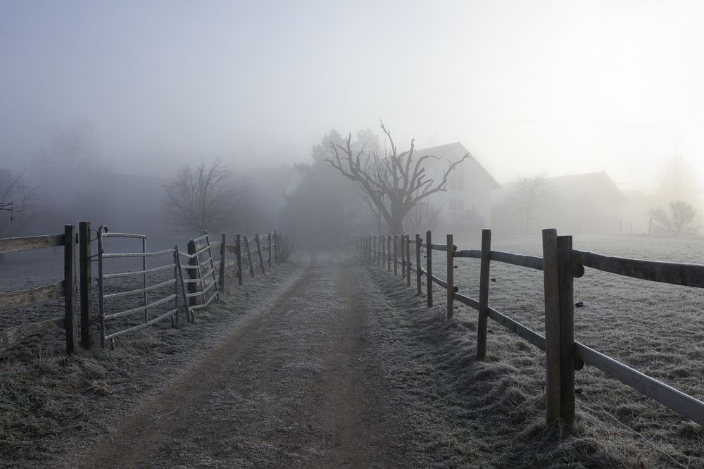 Photograph by Lyudmila Klimanova