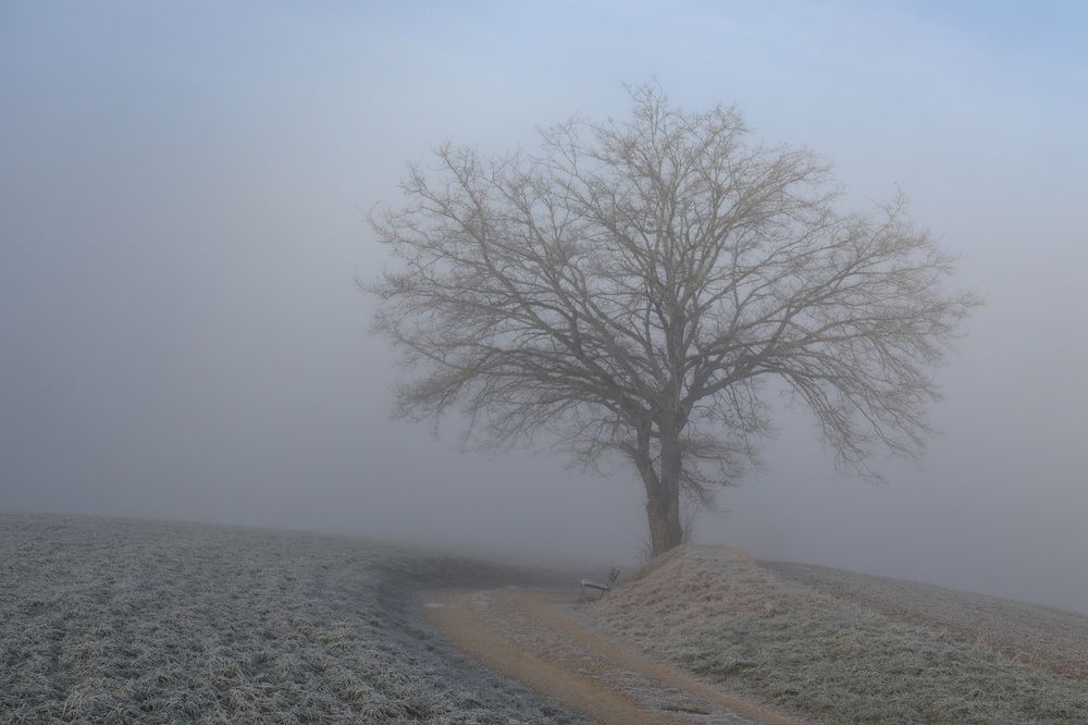 Photograph by Lyudmila Klimanova