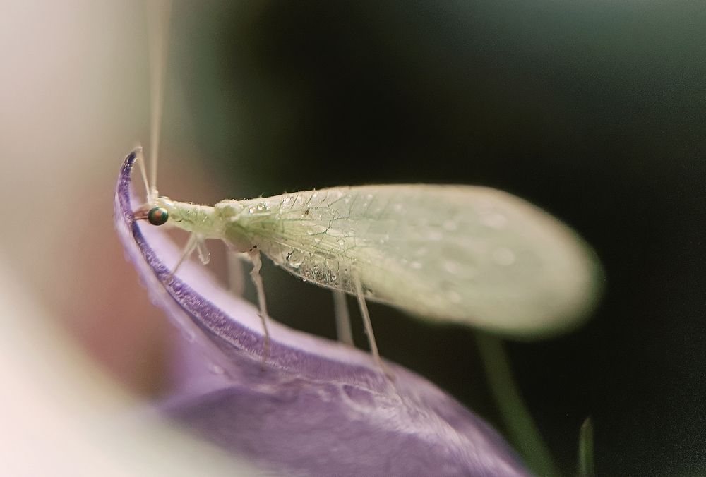 Photograph by Наталья Шумилова