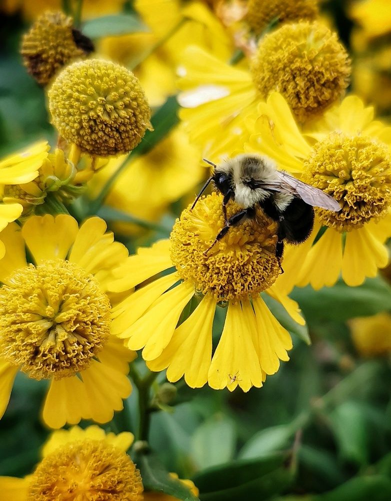 Photograph by Veremeyeva Marina