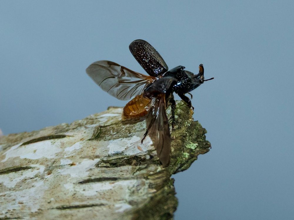 Photograph by Жанна Агафонова