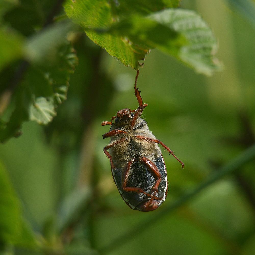 Фотография автора Сергей Суворов