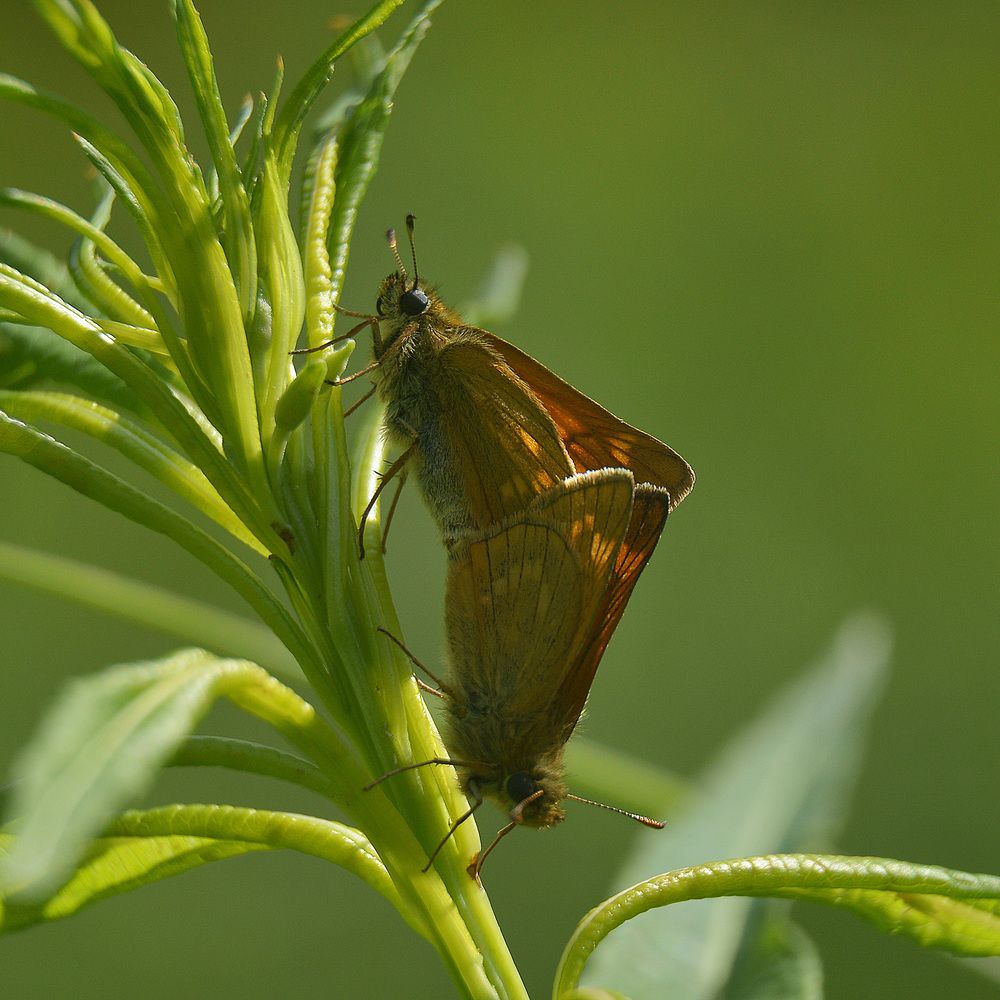 Фотография автора Сергей Суворов