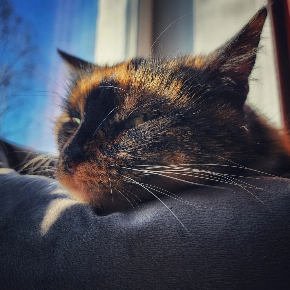 Photograph by Татьяна Сякина