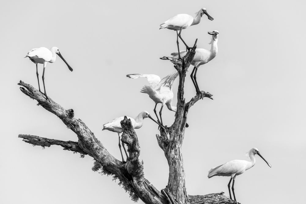 Photograph by Валерия Трейтяк