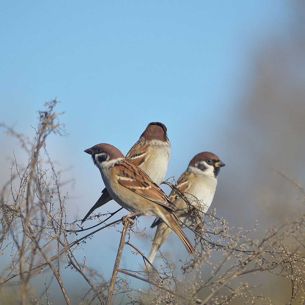 Photograph by Сергей Суворов
