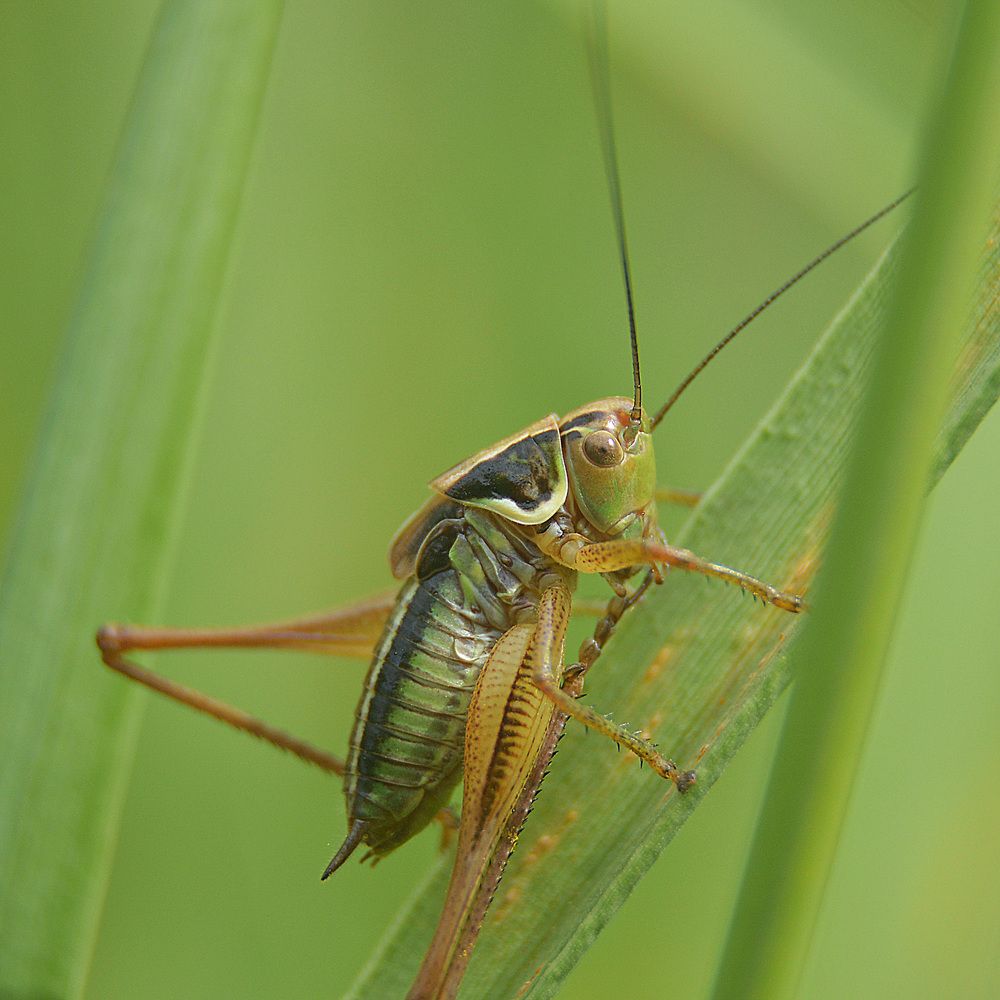 Photograph by Сергей Суворов