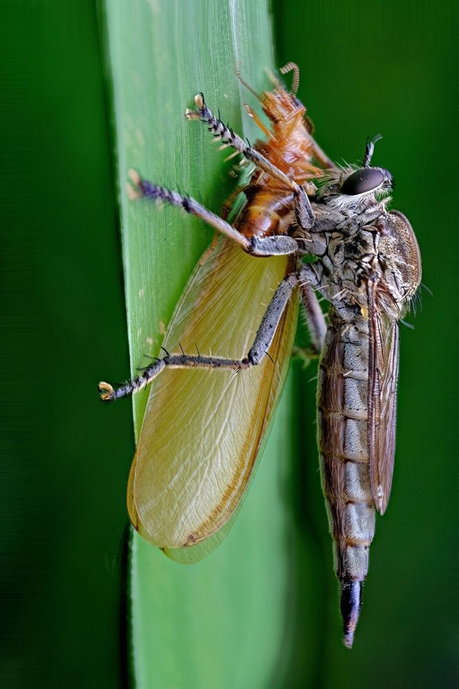 Photograph by catur handoko